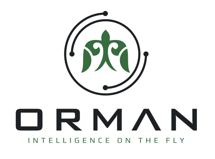 AI and Climate Change 