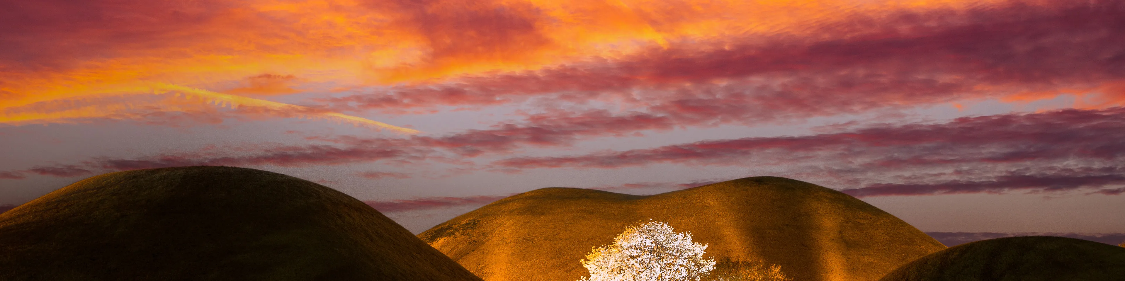 50% in 7 days - New Offer