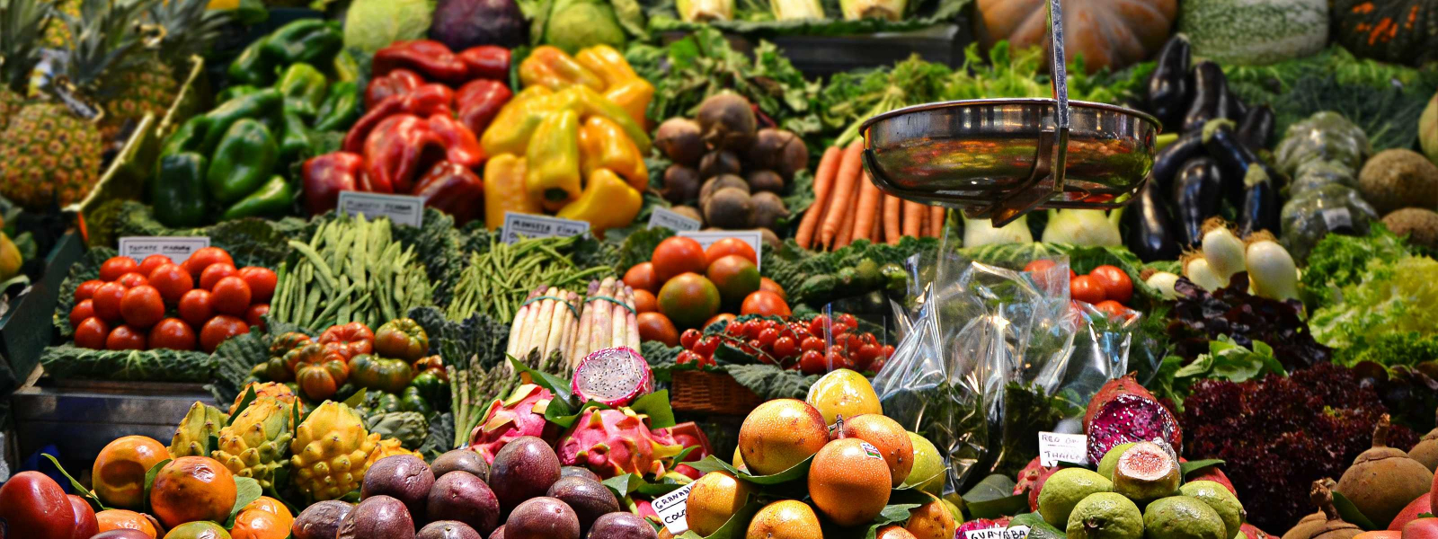 Export-Import Business